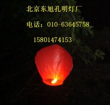 Beijing Yuk Lanterns Plant